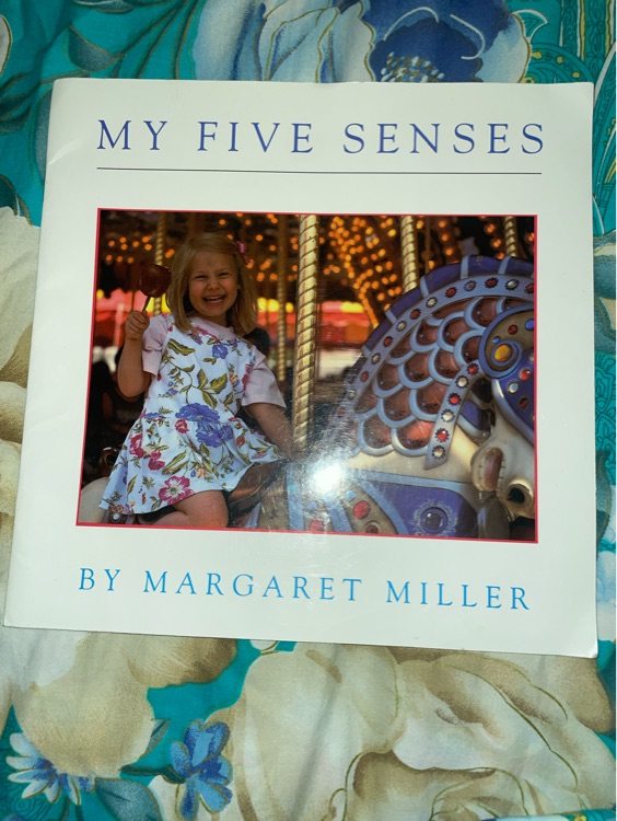 My five senses