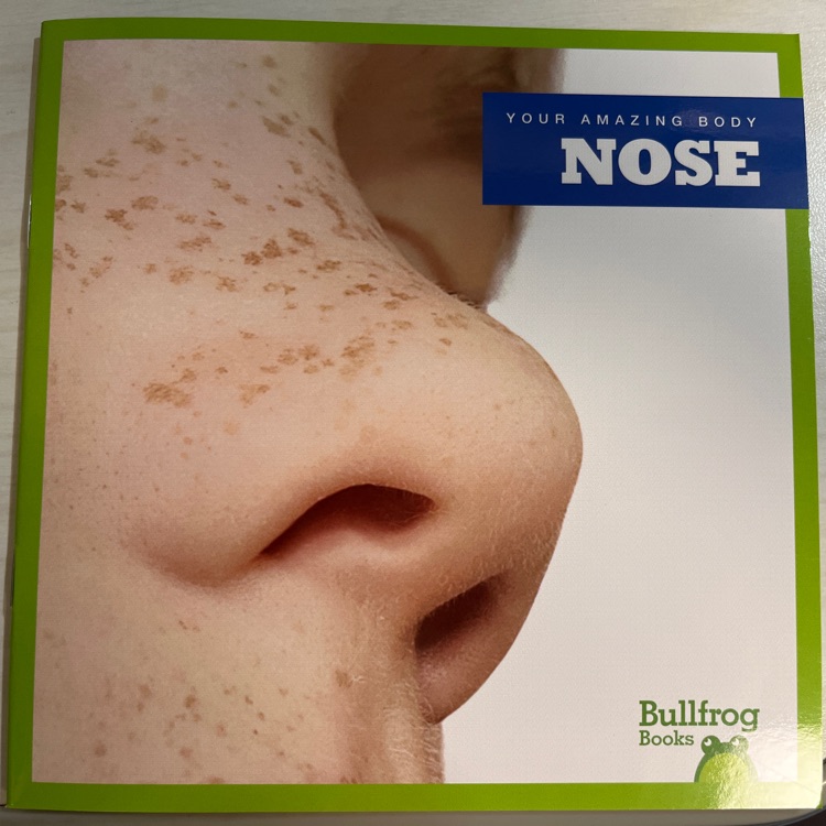 Nose