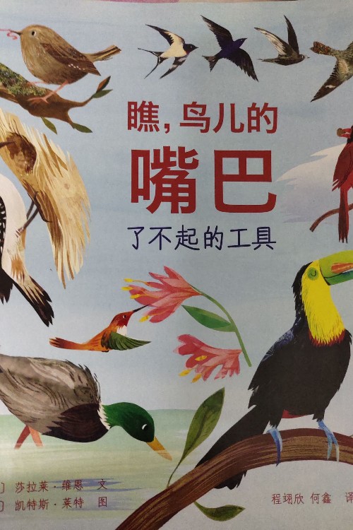 瞧, 鳥兒的嘴巴