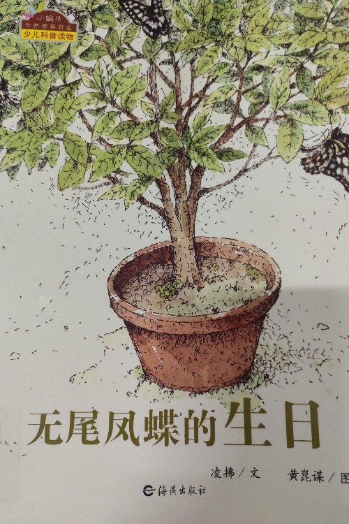 無(wú)尾鳳蝶的生日