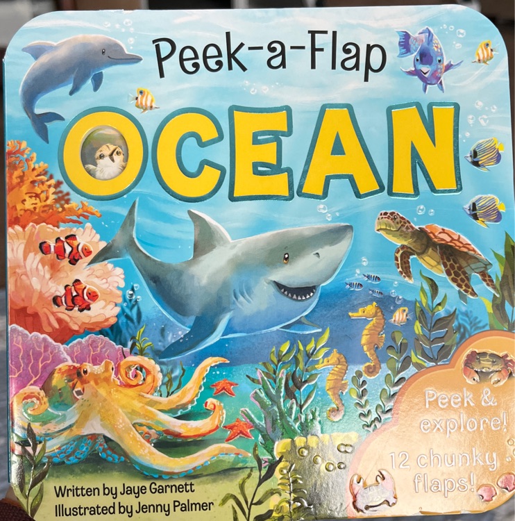 Peek-a-flap Ocean