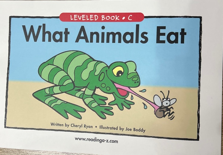 What animals eat