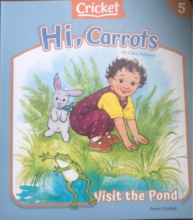 Hi, Carrots 12冊(cè)套裝—5—Visit the Pond