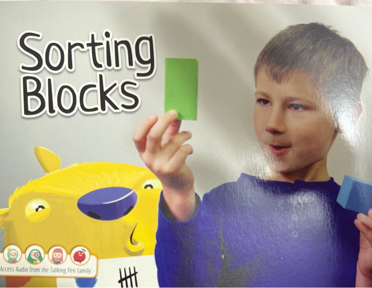 Sorting Blocks