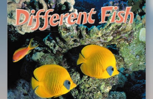 different fish