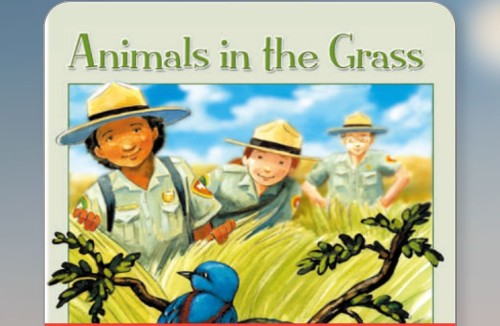 animals in the grass