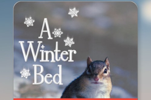 a winter bed