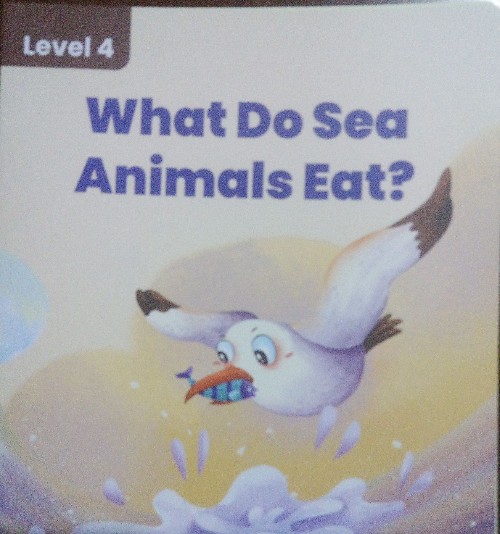 what do sea animals eat