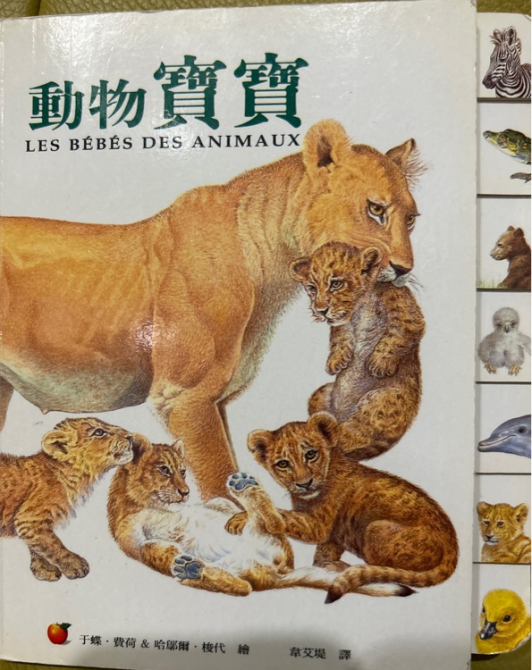 動物寶寶