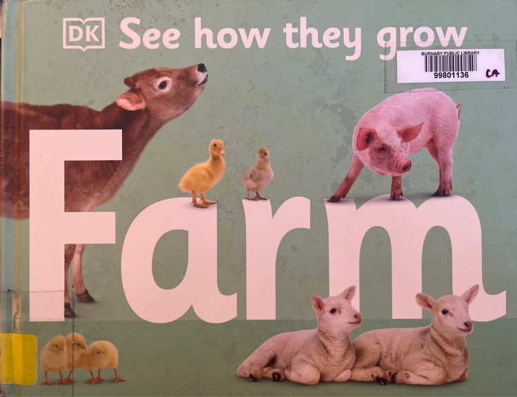 see how they grow farm