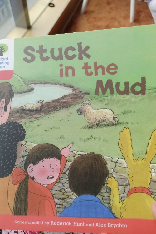 Stuck in the Mud