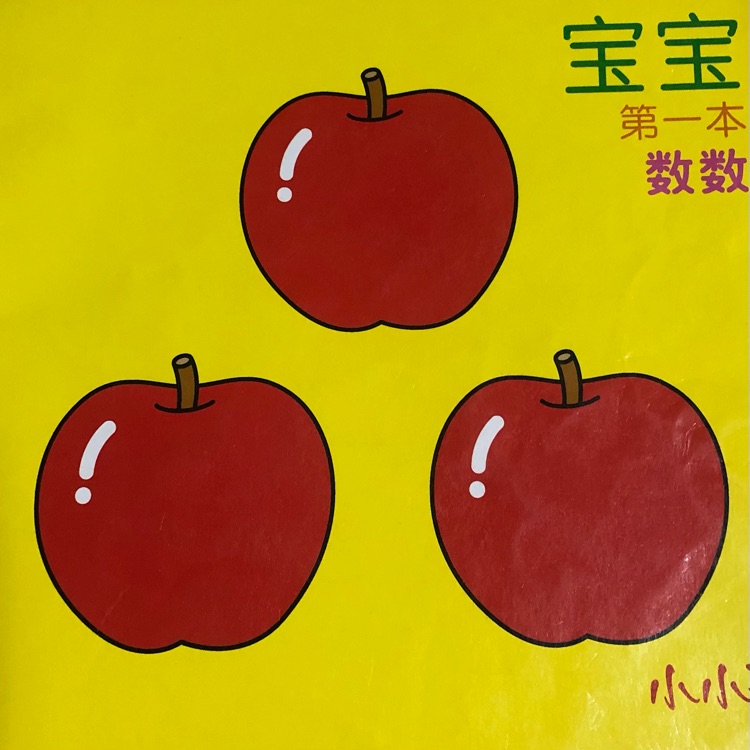 寶寶第一本數(shù)數(shù)書