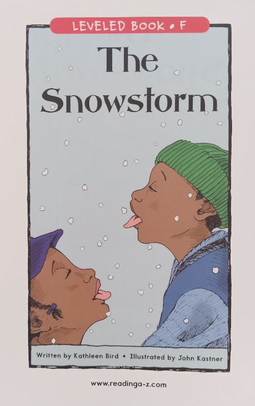 The snowstorm