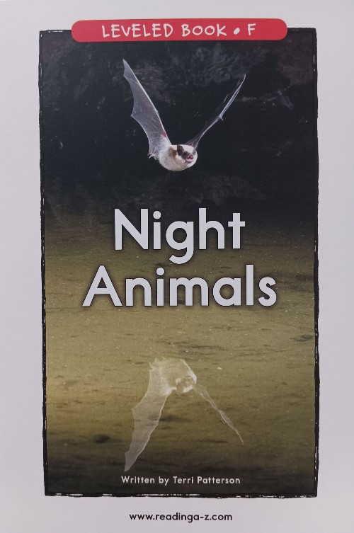 Night animals