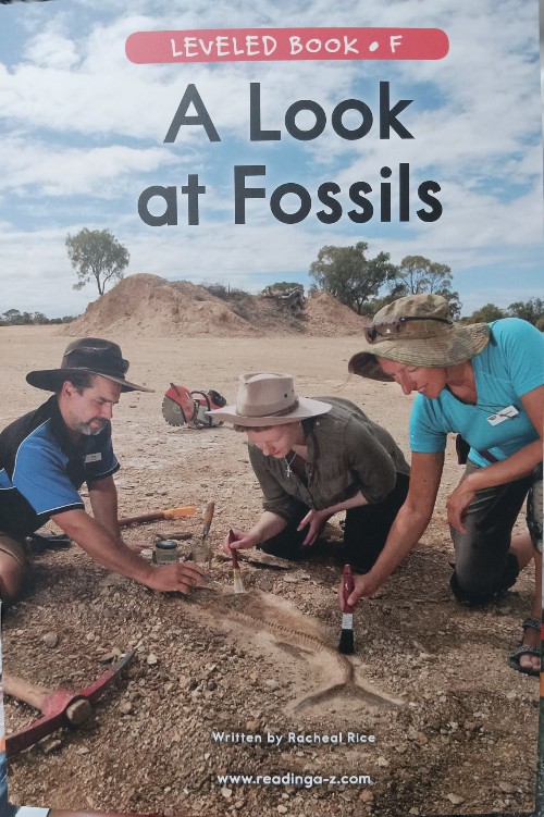 A look at Fossils