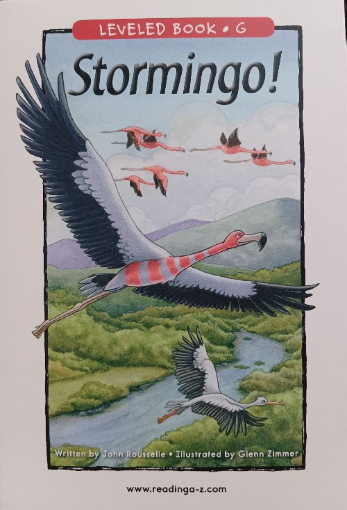 Stormingo