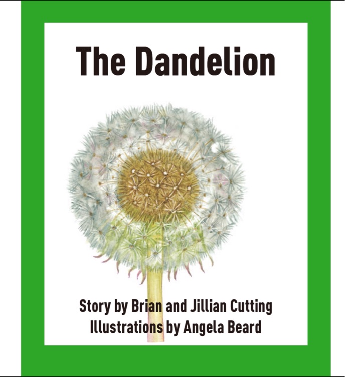 the dandelion