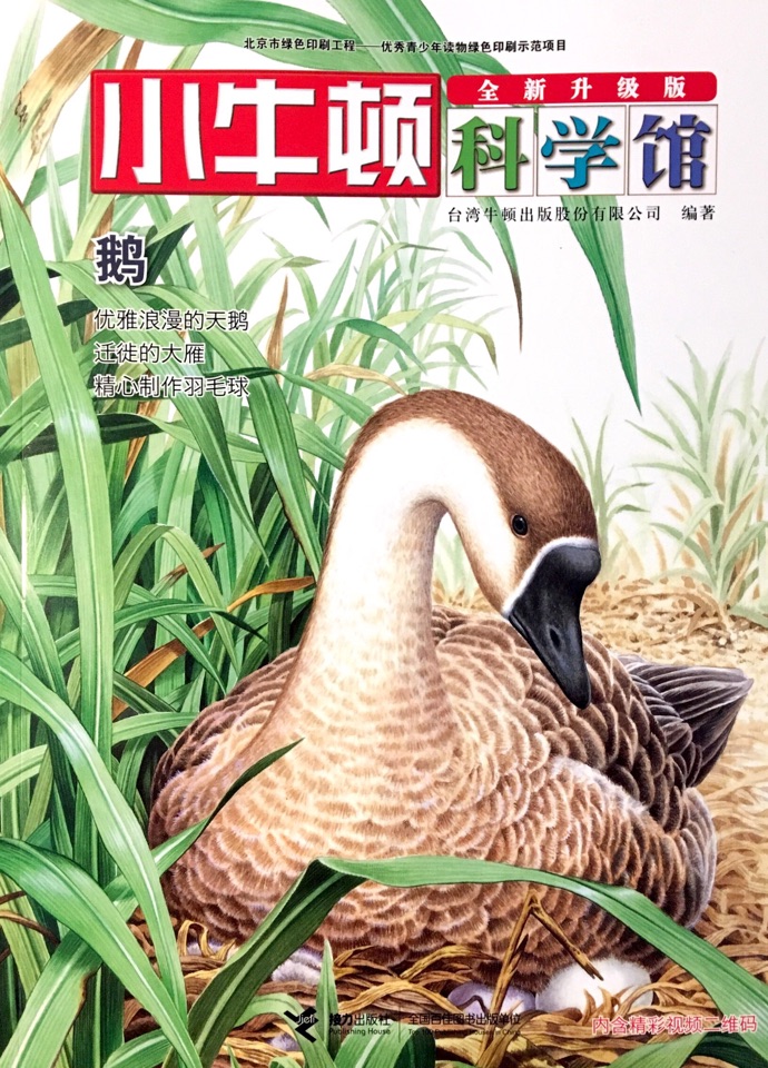 小牛頓科學(xué)館·卵生動物——鵝