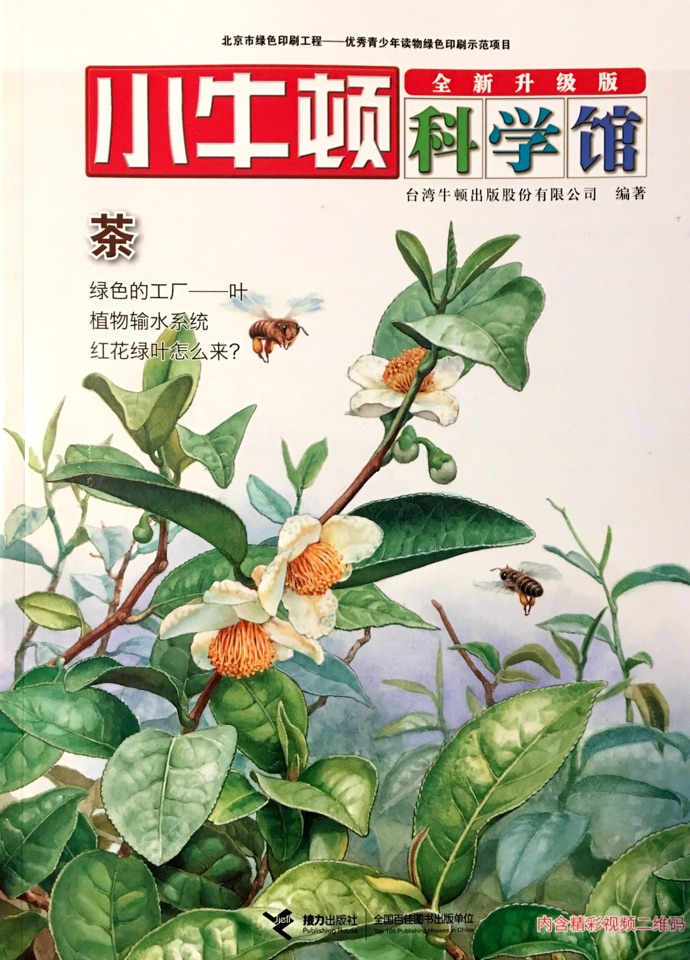 小牛頓科學館·奇妙的植物——茶