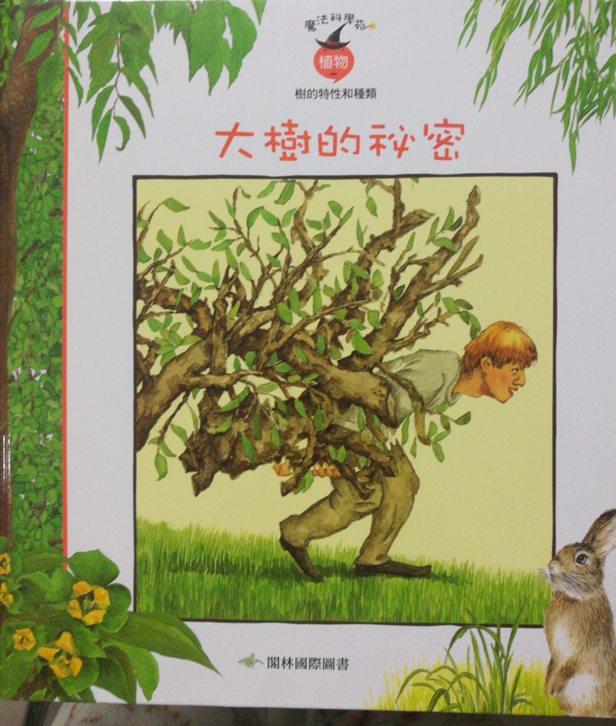大樹的秘密