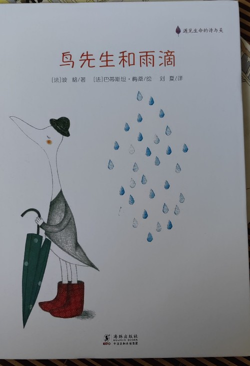 鳥先生和雨滴