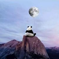 宇宙熊貓
