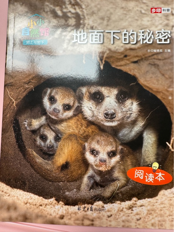 地面下的秘密