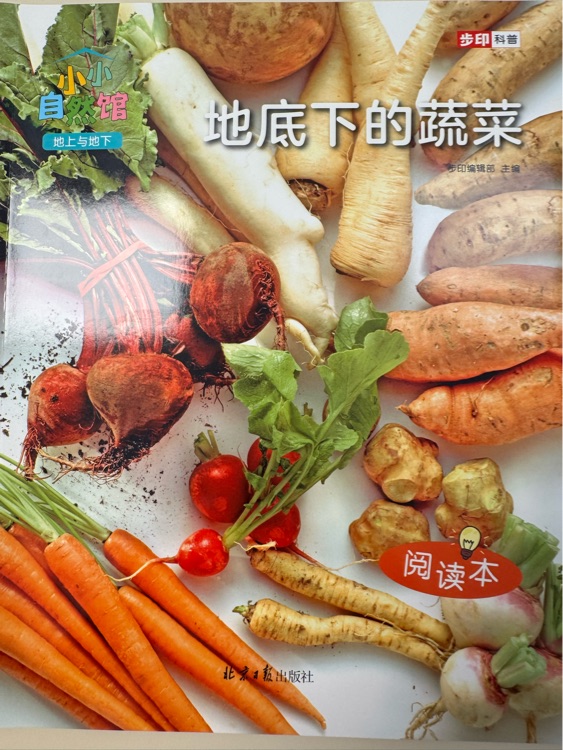 地底下的蔬菜