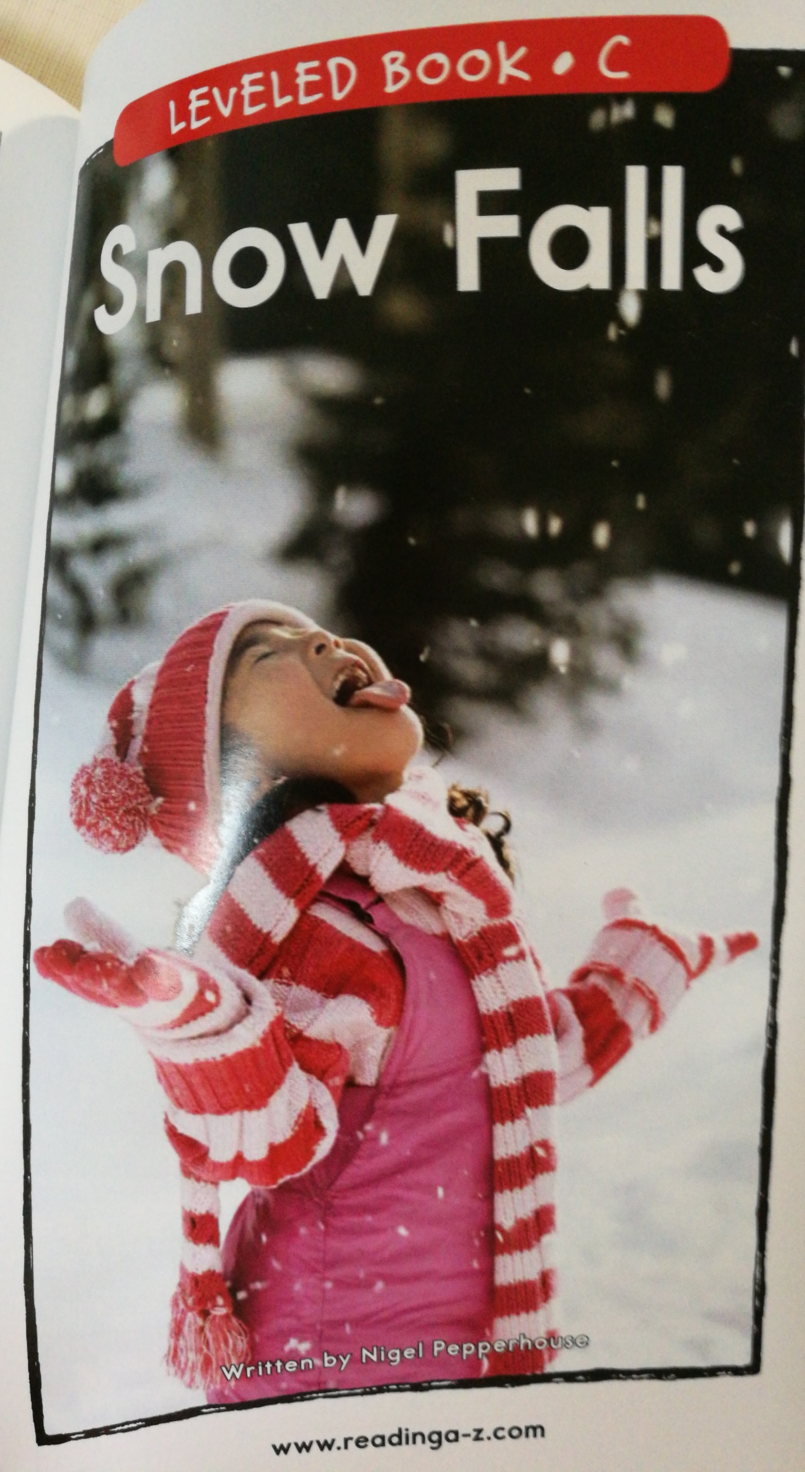 Snow Falls
