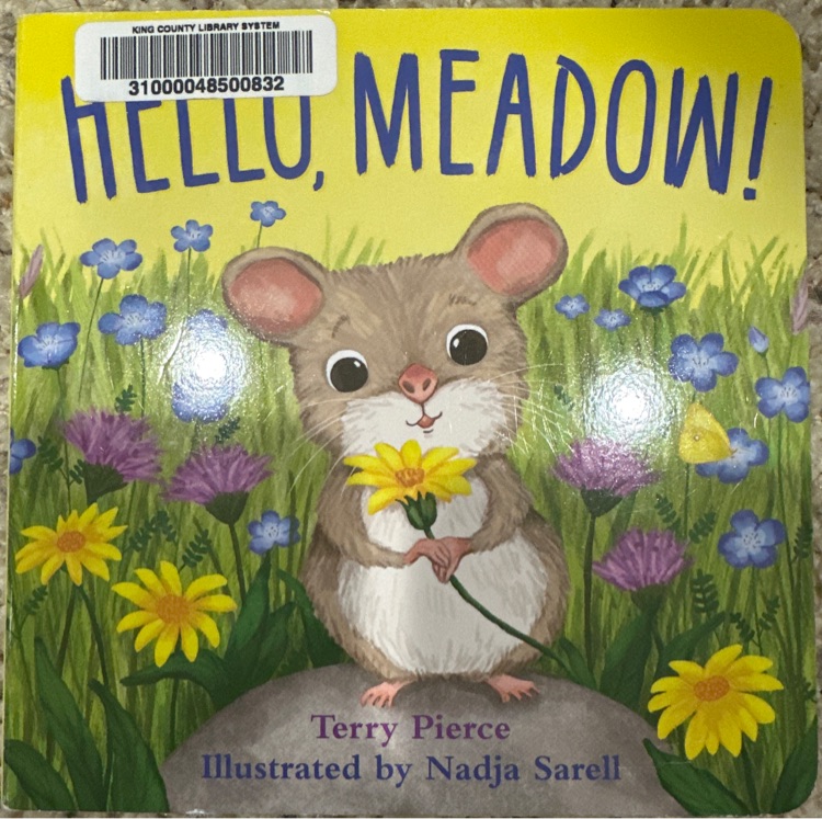 Hellow Meadow