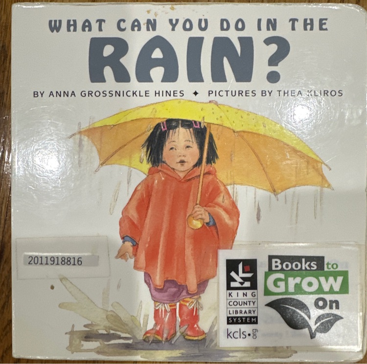 What can you do in the rain?