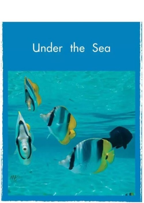 under the sea