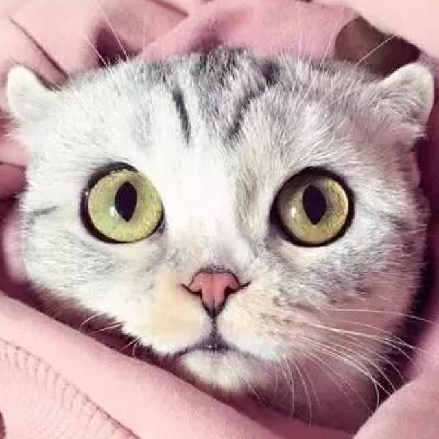 馬寧