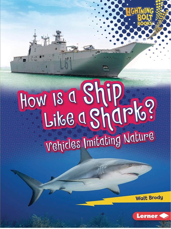 how is a ship like a shark