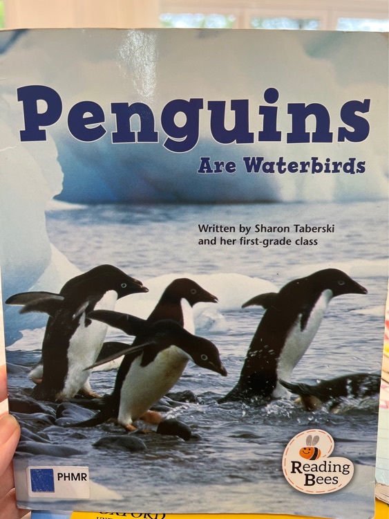 Penguins