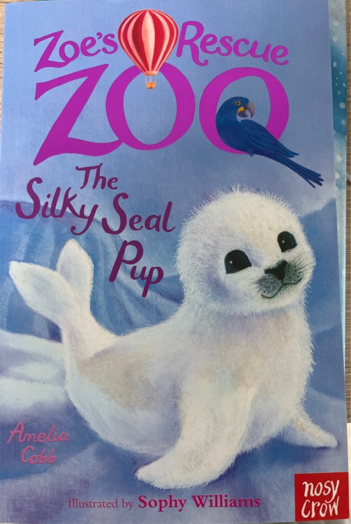 The silky seal pup