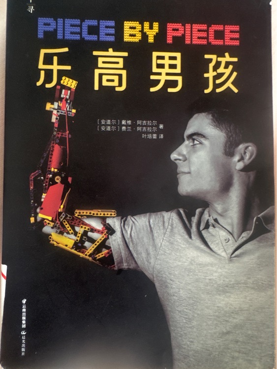 乐高男孩