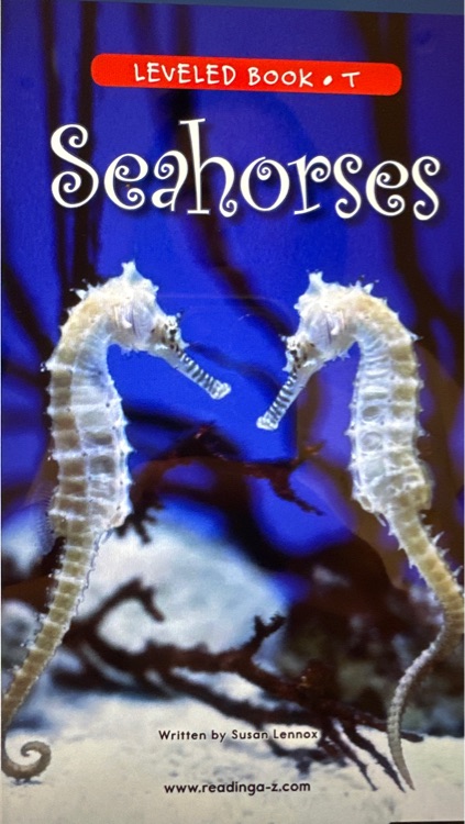 Seahorses