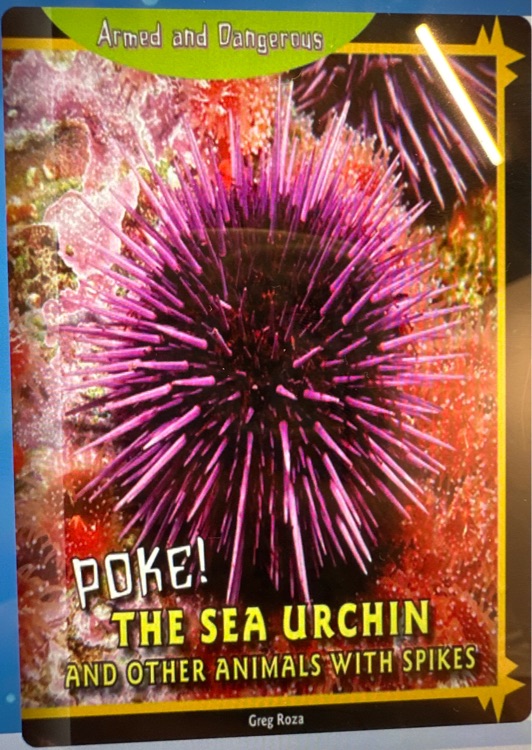 poke the sea urchin and other animals with spikes