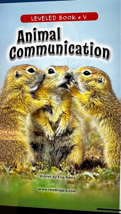 animal communication