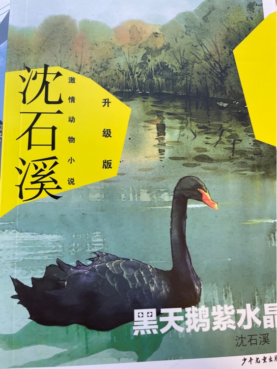 黑天鵝紫水晶