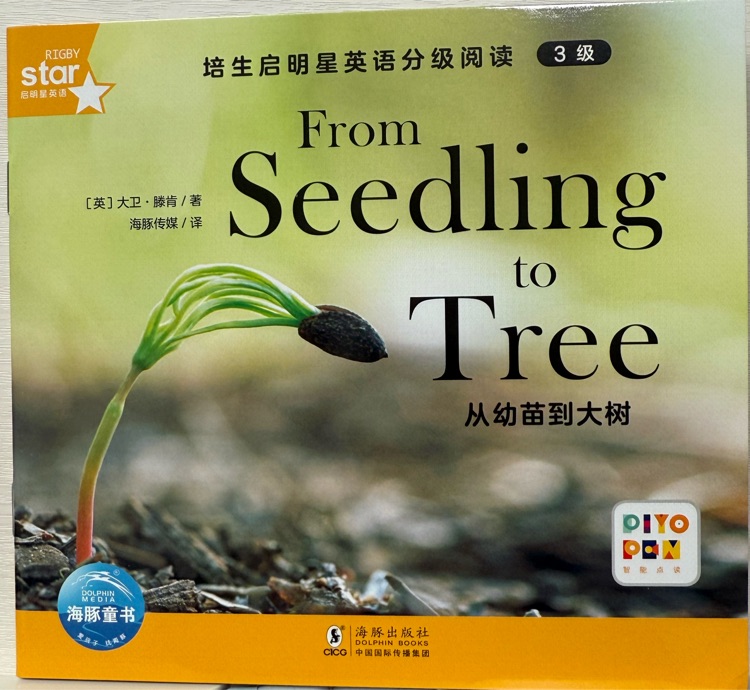 培生启明星3级26 From seedling to tree