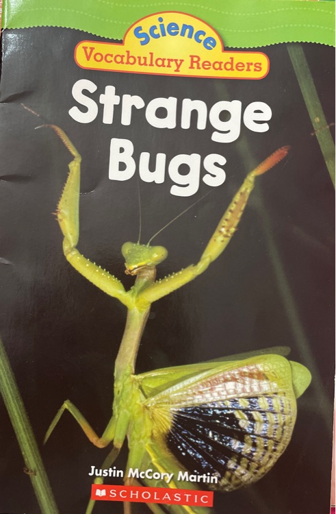 Strange bugs