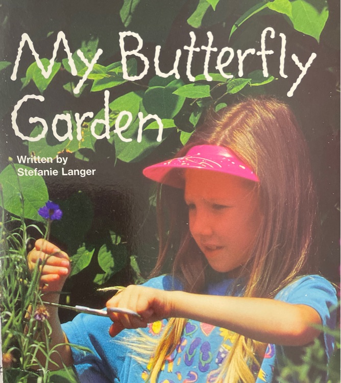 My butterfly garden