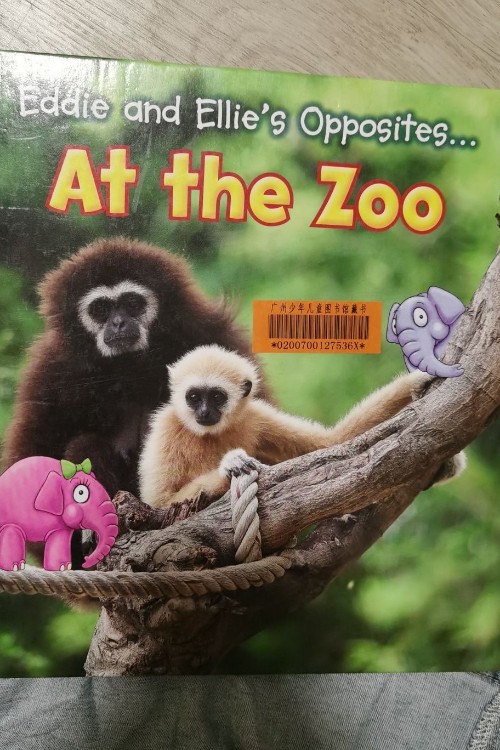 at the zoo