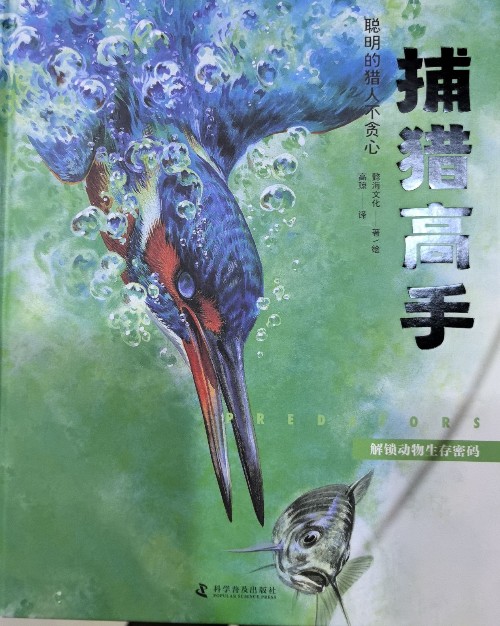 解鎖動物生存密碼之捕獵高手