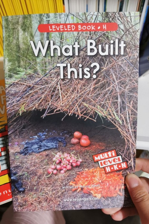 What Built This? (RAZ H)