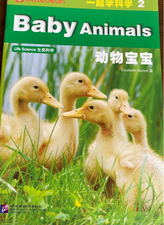 Baby animals