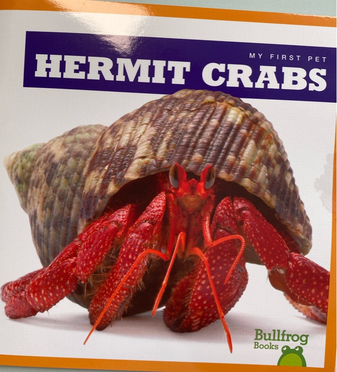 Hermit crabs