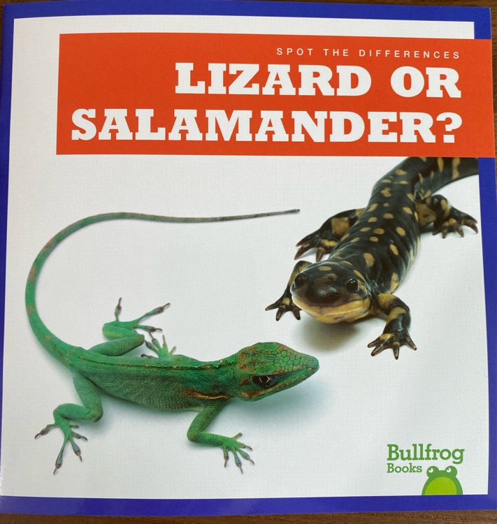 Lizard or salamander